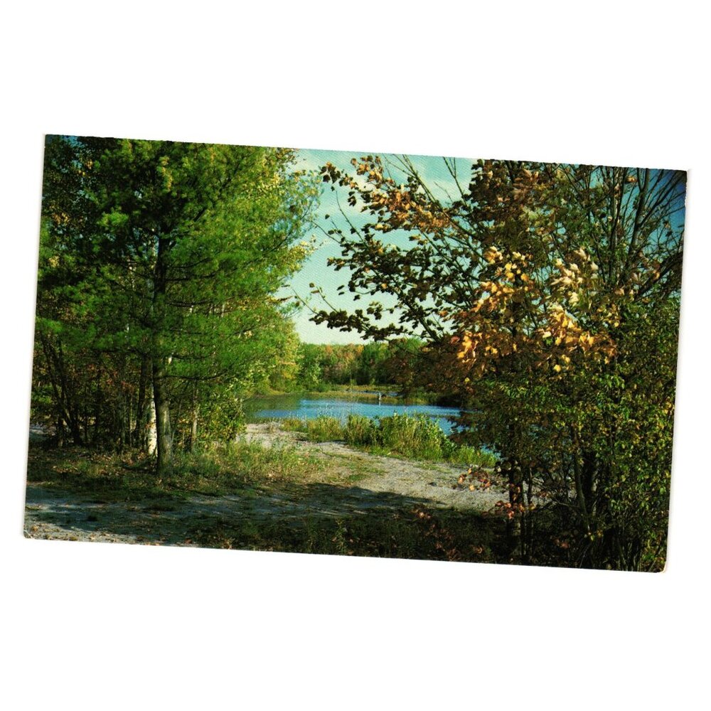 Greetings Hastings Canada Postcard Scenic Nature View Kodachrome By Ed Thatcher